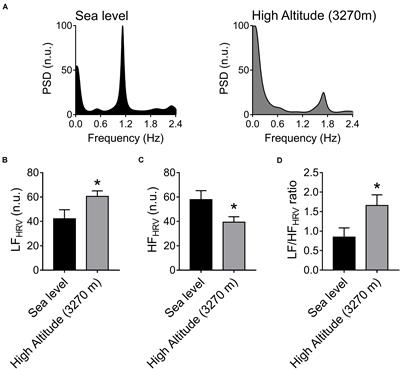 Baroreflex Modulation During Acute High-Altitude Exposure in Rats